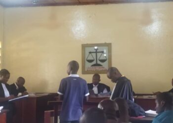 Le procès du viol et du « meurtre » de Mmah Sylla se poursuit au TPI de Mafanco