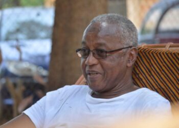 Baïlo Teliwel Diallo, ex ministre de l’ESRS : « Chaque pays est à la recherche de ce qui va amener plus de performance »