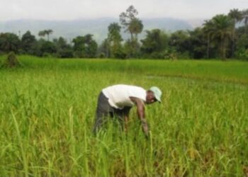 Le Crédit Rural de Guinée accorde 140 millions GNF à des fonctionnaires de Faranah