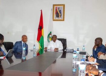 ANAD, RPG-AEC et FNDC politique reçus par le président bissau-guinéen Embaló
