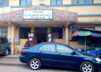 Un citoyen condamné pour avoir menacé un des procureurs du procès du 28 septembre 2009