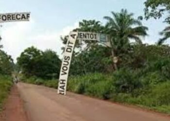 Les domaines réservés au futur aéroport et à Salguidia seront récupérés, selon l&rsquo;agent judiciaire de l&rsquo;Etat