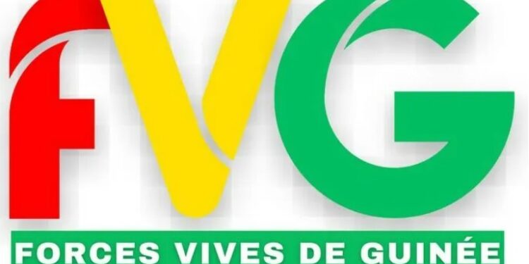 Les Forces vives de Guinée reportent une nouvelle fois leur manifestation