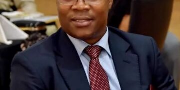 « La transition n&rsquo;a fait que donner plus de vigueur à la coopération internationale » (Ousmane Gaoual Diallo, porte-parole du gouvernement)
