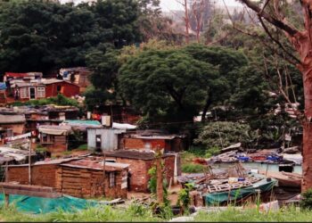 AFRIQUE DU SUD- six morts dans une affaire présumée de carte d&rsquo;identité perdue