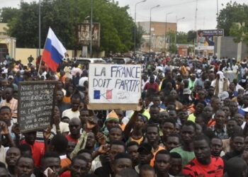[À rebrousse-poil] La francophobie est le panafricanisme des bêtes