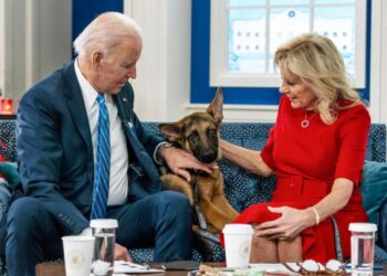 USA/FAITS DIVERS- Commander, le berger allemand de Biden aurait mordu un agent des services secrets