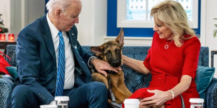 USA/FAITS DIVERS- Commander, le berger allemand de Biden aurait mordu un agent des services secrets