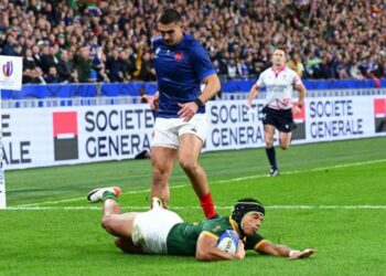 MONDIAL RUGBY- L&rsquo;Afrique du Sud éjecte la France de son Mondial