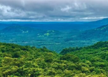 SIMANDOU/FER- WCS et Baowu accordent leurs violons autour du Simandou…