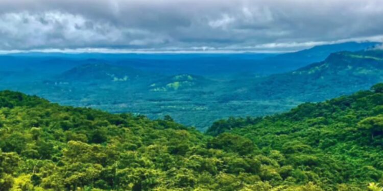 SIMANDOU/FER- WCS et Baowu accordent leurs violons autour du Simandou…