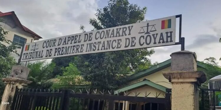 FAITS DIVERS- Tribunal de Coyah : injures, coup de poing et nez cassé lors d&rsquo;un « pugilat » entre un procureur et un avocat