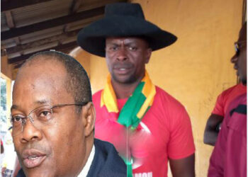 ACTUALITES- Ousmane Gaoual Diallo accusé de manœuvres politiques dans les fédérations de l&rsquo;UFDG