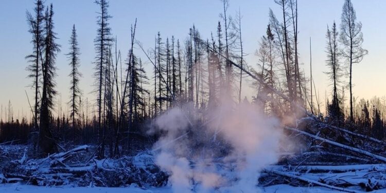 ETRANGER- Canada : sous la neige, le phénomène des « feux zombies » menace déjà l’été à venir