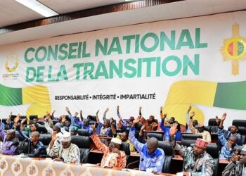 ACTUALITES- Quand le CNT s&rsquo;immisce dans l&rsquo;inutile (par sekou koundouno)