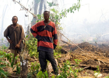 ACTUALITES- Conflit foncier à Koliaghé : Des actes de vandalisme attribués à l&rsquo;association « LABESSANGNI »