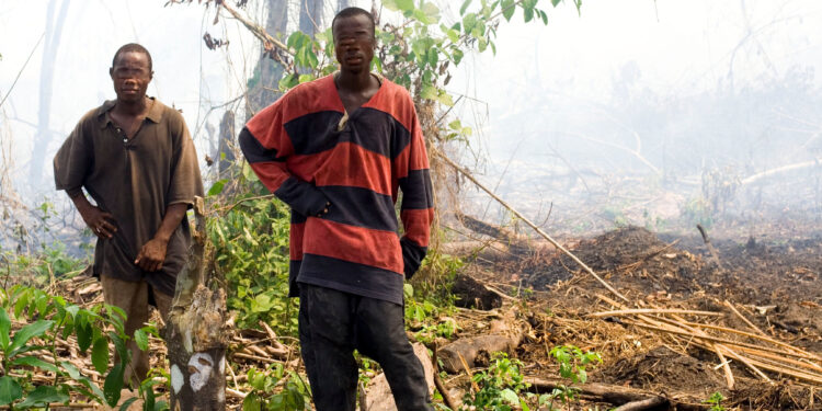 ACTUALITES- Conflit foncier à Koliaghé : Des actes de vandalisme attribués à l&rsquo;association « LABESSANGNI »