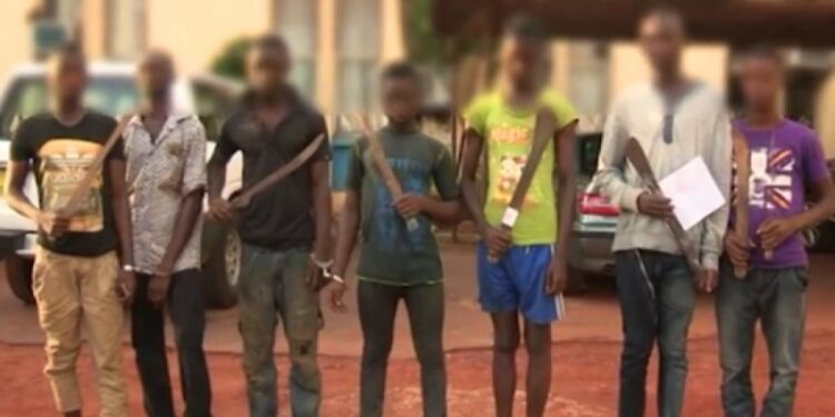 ACTUALITES- Défis majeurs pour le système judiciaire guinéen : Les enfants en conflit avec la loi au cœur des préoccupations