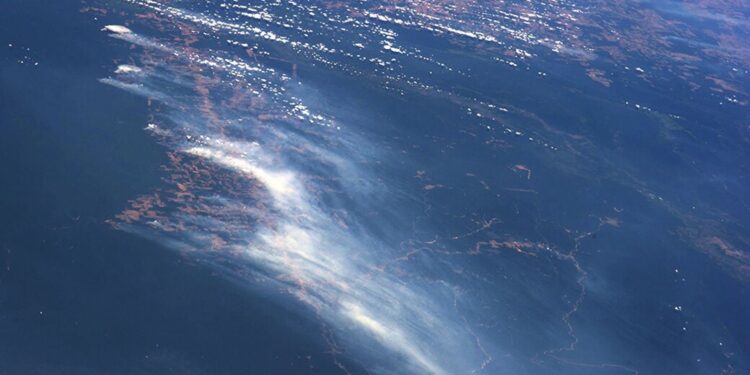 ACTUALITES- El Niño : Le Phénomène Climatique qui Change le Monde