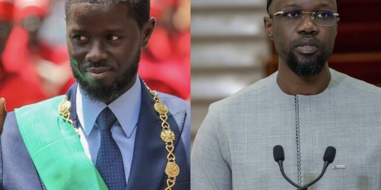 ACTUALITES- Satire à vue- La « révolution » du tandem Faye-Sonko : de la démocratie vers l’inaptocratie ? [Top Sylla]