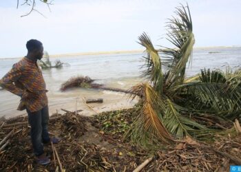 ENVIRONNEMENT- L&rsquo;érosion côtière étouffe les terres fertiles de Kaback : L&rsquo;appel à l&rsquo;action pour restaurer l&rsquo;agriculture