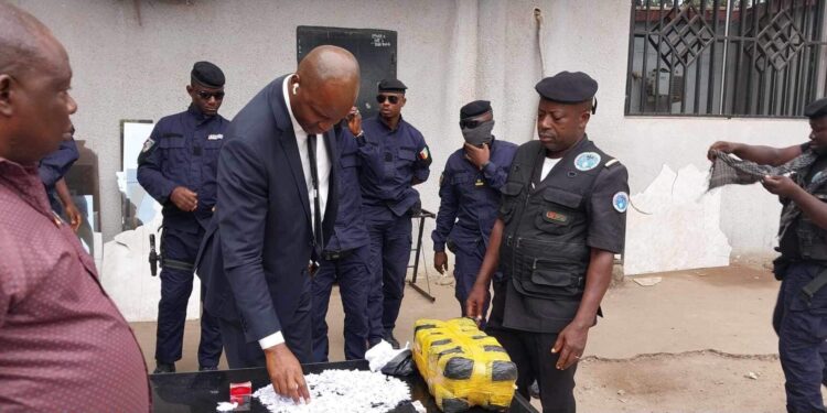 ACTUALITES- Saisie historique de Kush : Un tournant décisif dans la lutte contre le trafic de stupéfiants en Guinée