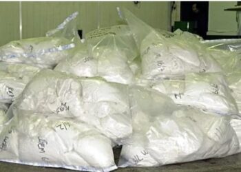 ACTUALITES- Lutte contre le trafic de drogue en Afrique de l&rsquo;Ouest : Une bataille décisive remportée à la frontière Guinée-Guinée Bissau