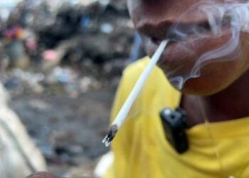 ACTUALITES- Guinée – Une lutte déterminée contre la drogue Kush