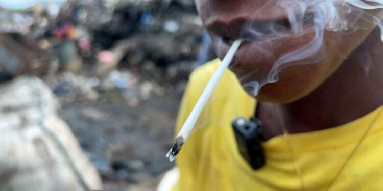 ACTUALITES- Guinée – Une lutte déterminée contre la drogue Kush