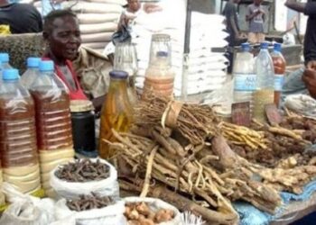 ACTUALITES- Tradipraticiens et herboristes de Guinée en colère : Le ministère de la santé accusé de détournement de fonds