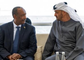 ETRANGER- Ports, terres agricoles, armement… Que cherchent les Émirats en Afrique ?