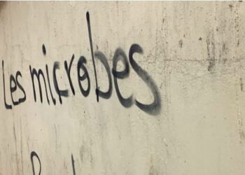 ACTUALITES- Conakry sous l&rsquo;ombre menaçante des gangs : Un cri pour la paix et l&rsquo;unité