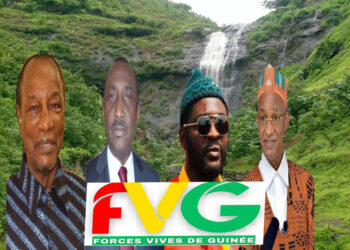 ACTUALITES- Les Forces Vives de Guinée dénoncent l&rsquo;avant-projet de la nouvelle Constitution