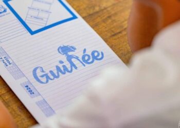 EDUCATION-  Quand la fraude devient la norme : Un regard sur les dérives du système Éducatif guinéen