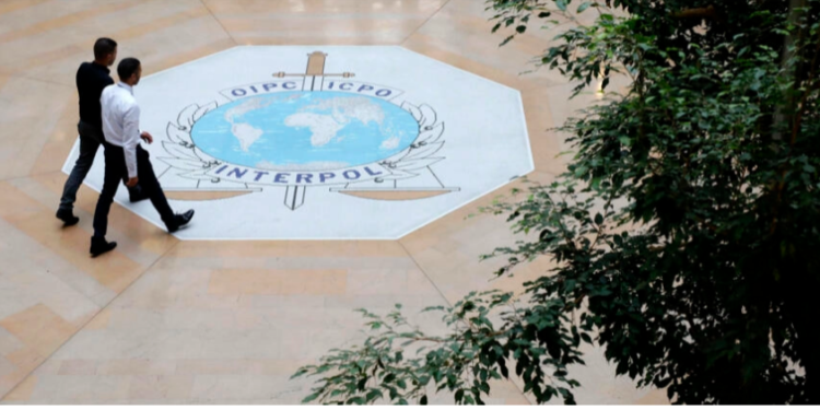 ETRANGER- Opération Jackal III : 300 Arrestations et 3 Millions d&rsquo;Euros Saisis dans un Coup de Filet Interpol contre la Fraude Financière en Afrique de l’Ouest