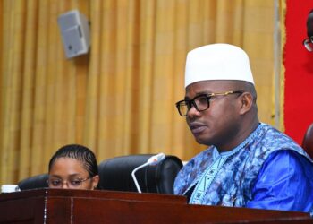 ACTUALITES- Plénière du 5 Août 2024 : Recommandations clés pour la loi de finances rectificative et réformes administratives