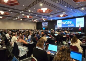 ETRANGER- Le Bénin se rétracte et fait échouer la création d’un sanctuaire baleinier dans l’Atlantique Sud (COMMUNIQUE DE PRESSE )