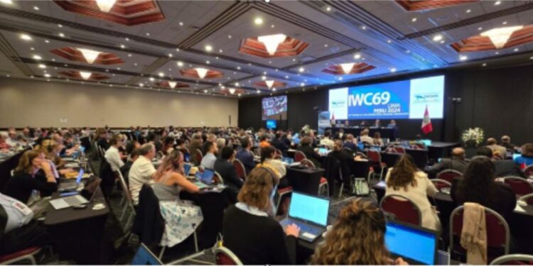 ETRANGER- Le Bénin se rétracte et fait échouer la création d’un sanctuaire baleinier dans l’Atlantique Sud (COMMUNIQUE DE PRESSE )