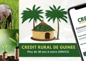 MICROCREDIT- Comment domicilier son salaire au Crédit Rural de Guinée