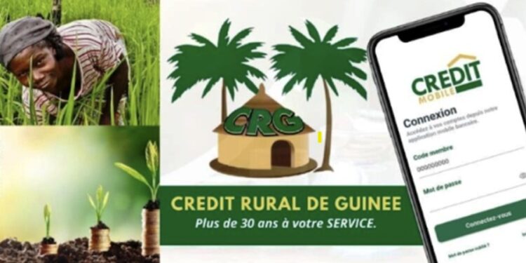 MICROCREDIT- Comment domicilier son salaire au Crédit Rural de Guinée