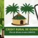 MICROCREDIT- Comment domicilier son salaire au Crédit Rural de Guinée