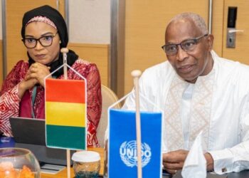 ACTUALITES-  Guinée : Un partenaire de choix pour une révolution industrielle avec l&rsquo;ONUDI