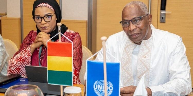 ACTUALITES-  Guinée : Un partenaire de choix pour une révolution industrielle avec l&rsquo;ONUDI