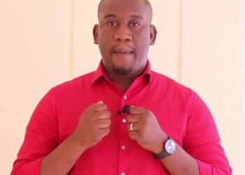 ACTUALITES- Transition en Guinée : le coup de semonce d’Aliou Bah