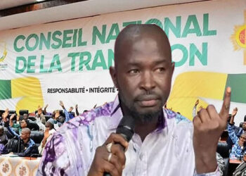 ACTUALITES- Constitution ou diversion ? Les enjeux cachés derrière la campagne de vulgarisation