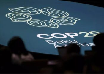 ENVIRONNEMENT- Déclaration du G20 à la COP29 : des avancées financières, mais un manque de leadership sur le climat