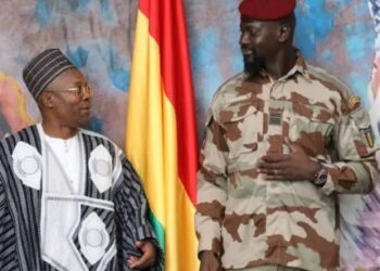 POLITIQUE- Élection présidentielle en Guinée : Le pari risqué du porte-parole du gouvernement