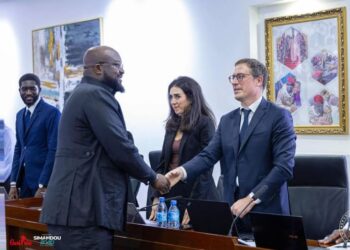 ECONOMIE- Simandou 2040 : une course contre la montre pour l’avenir de la Guinée