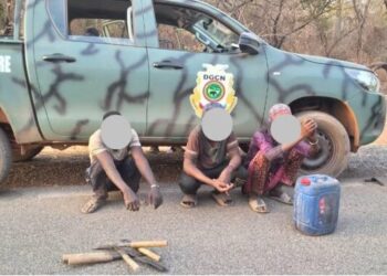 ENVIRONNEMENT- Trafic de faune et de flore : Coup de filet au cœur du Parc National du Badiar