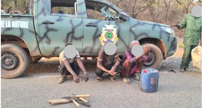 ENVIRONNEMENT- Trafic de faune et de flore : Coup de filet au cœur du Parc National du Badiar